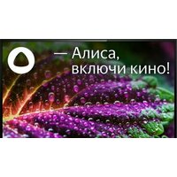 BBK 43LEX-7257/FTS2C