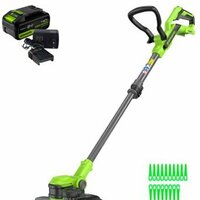 Greenworks G24LT301K4 2113207UB