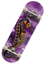 СК (Спортивная коллекция) Seahorse фото